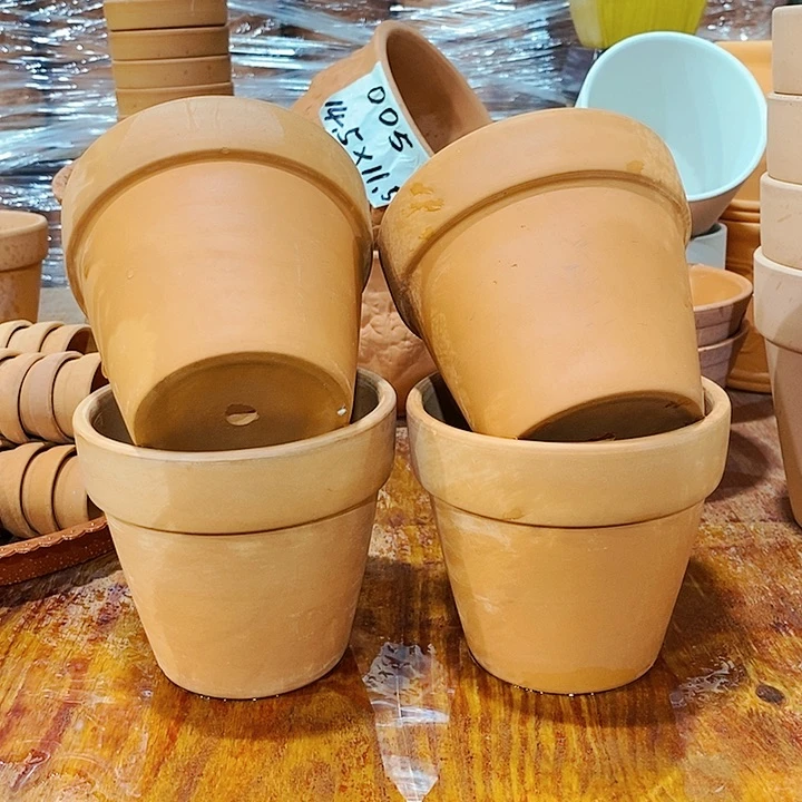 红陶20CM以下12×10四个