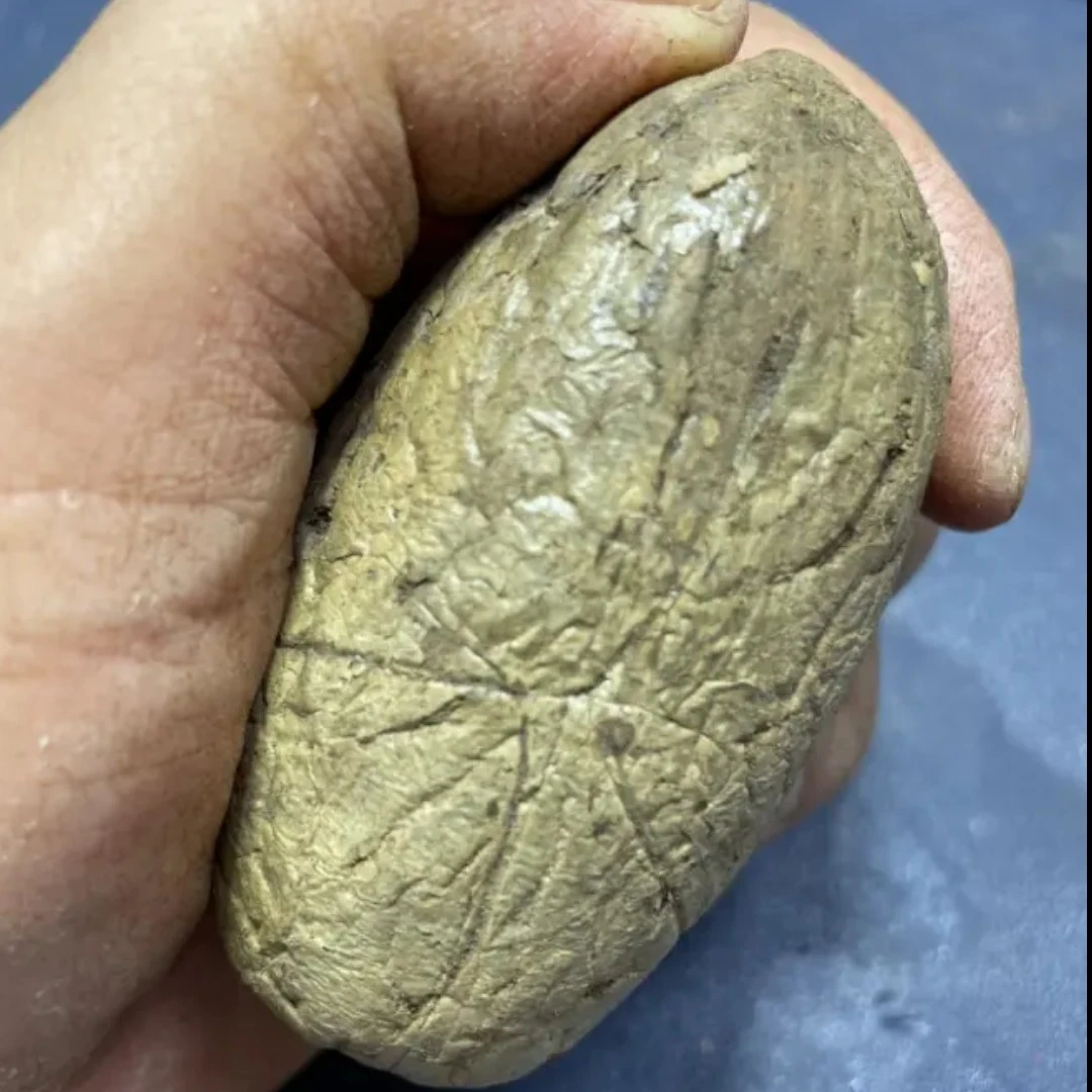 超大千眼，精挑精品大果，手工制作成品发货千眼菩提配饰