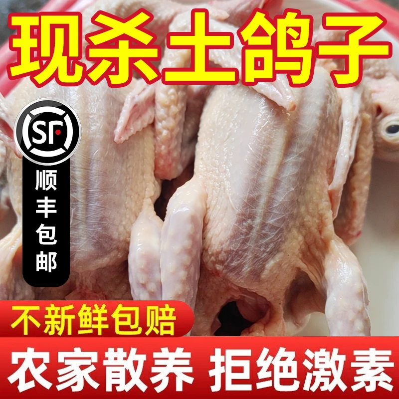 顺丰/京东冷链上海崇明生态新鲜乳鸽≧400g*3只礼盒装鸽子
