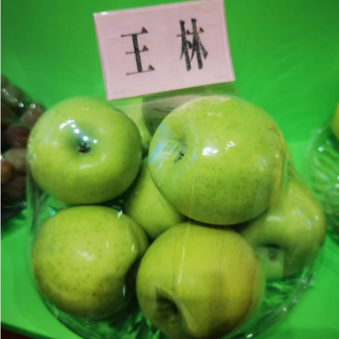 阿克苏红旗坡王林苹果老人孕妈妈应季水果脆甜可口甜过初恋
