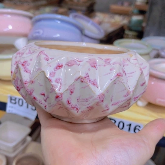 红陶20CM(含)-50CM(不含)