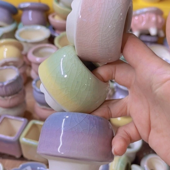 红陶20CM（含）-50CM（不含）