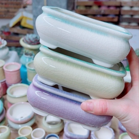 红陶20CM（含）-50CM（不含）