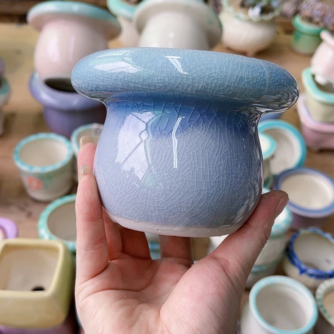 红陶20CM(含)-50CM(不含)