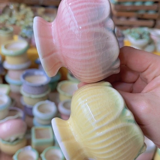 红陶20CM（含）-50CM（不含）