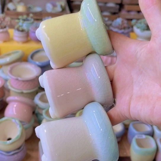 红陶20CM（含）-50CM（不含）