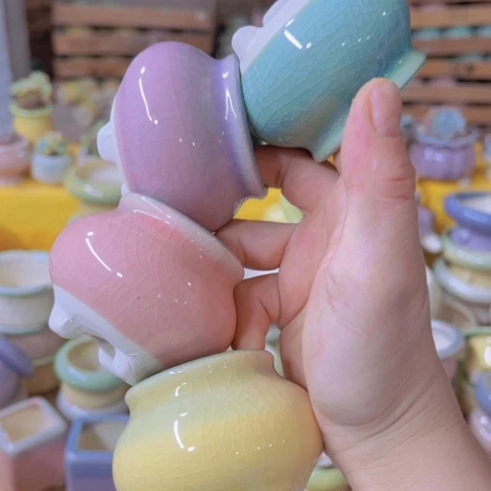 红陶20CM（含）-50CM（不含）