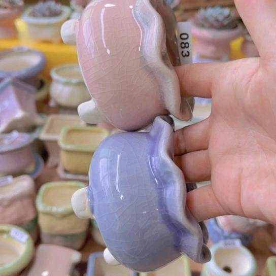红陶20CM(含)-50CM(不含)
