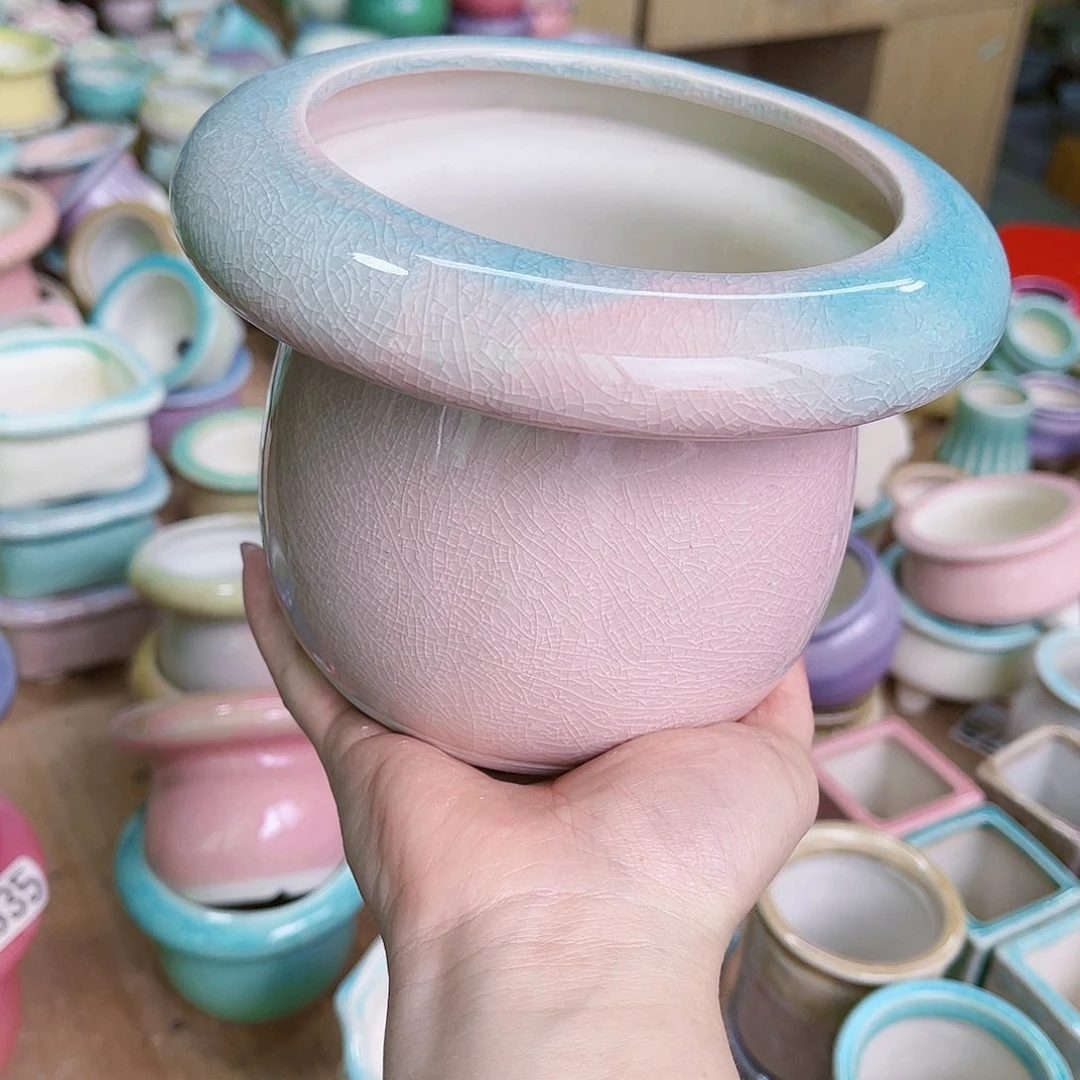 红陶20CM（含）-50CM（不含）