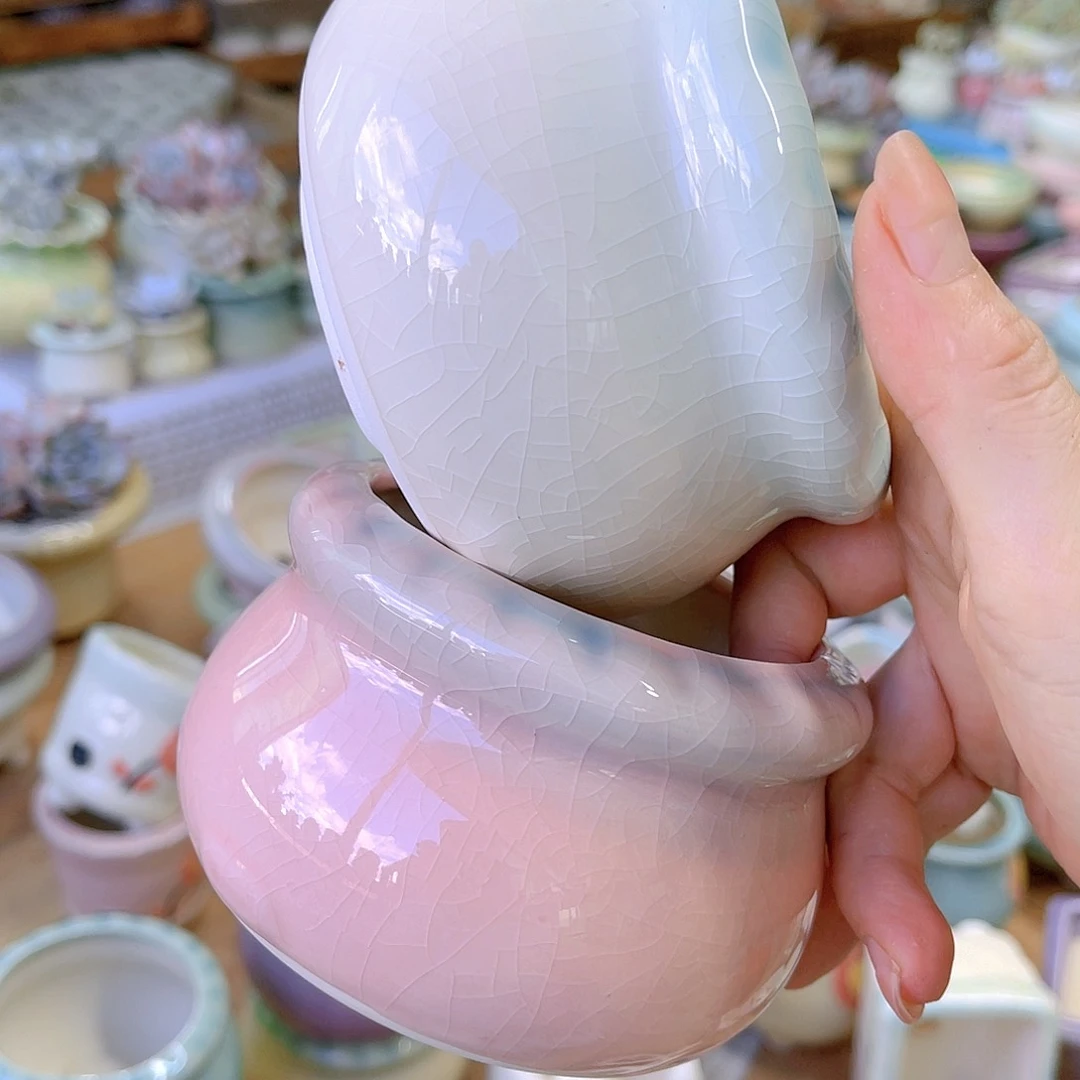 红陶20CM（含）-50CM（不含）