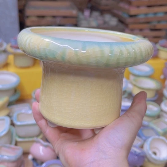 红陶20CM（含）-50CM（不含）