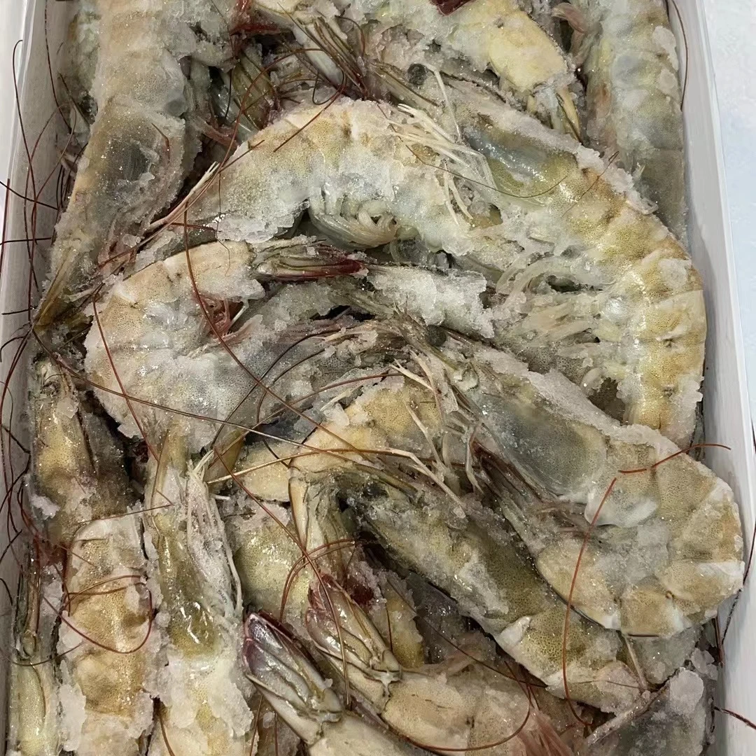 3040盐冻虾