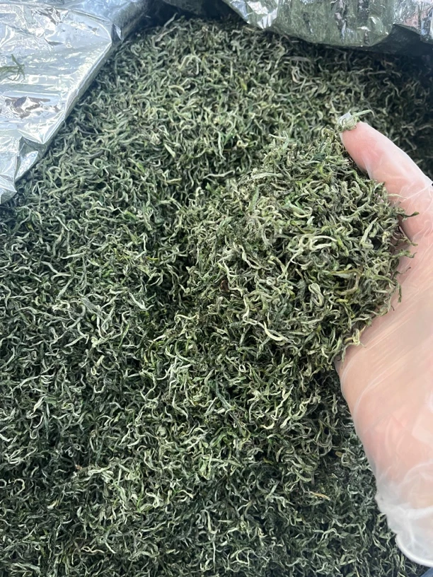 保靖黄金茶，栗香，清汤绿叶，滋味鲜活甘甜