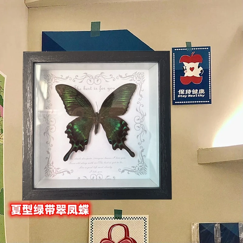 真蝴蝶标本欧美风相框摆台手工装饰品画家居卧室情人节生日礼物