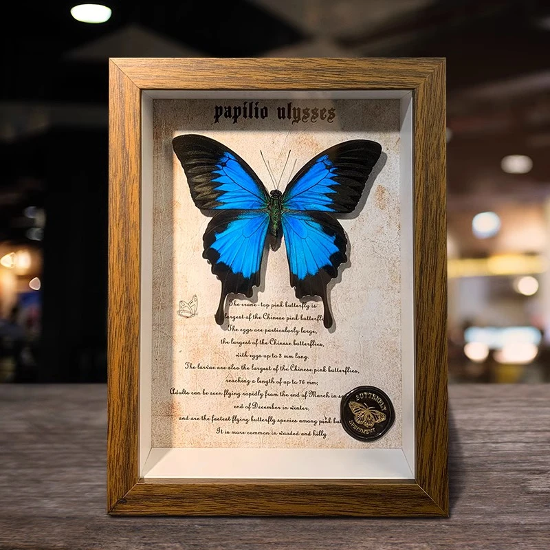 天堂凤蝶实物装饰画木质复古标本框欧式风摆件朋友女友生日礼物