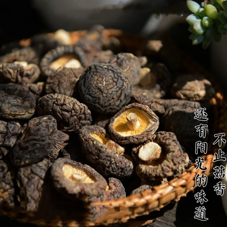 香菇福建山里农家椴木干货菌类冬菇250g土特产新鲜山货野生干鲍鱼