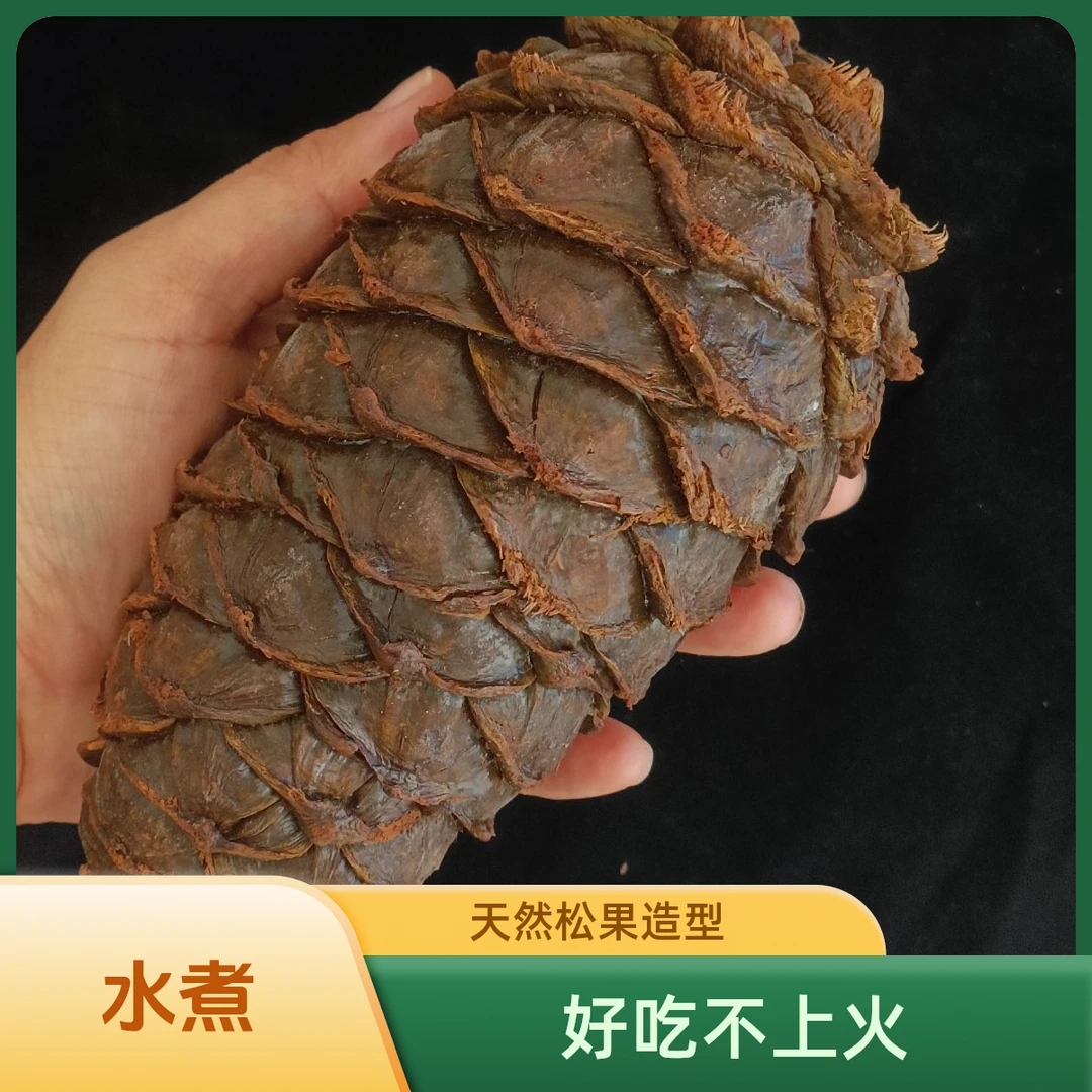 野生松塔盐水煮松塔大松塔