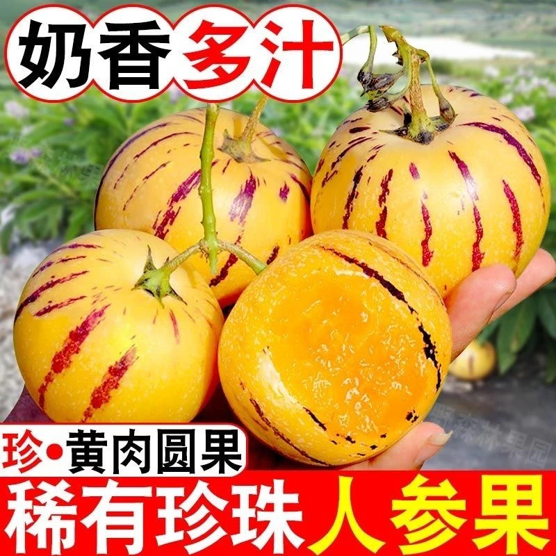 正宗云南石林人参果黄肉圆果清甜可口纯甜无酸整箱