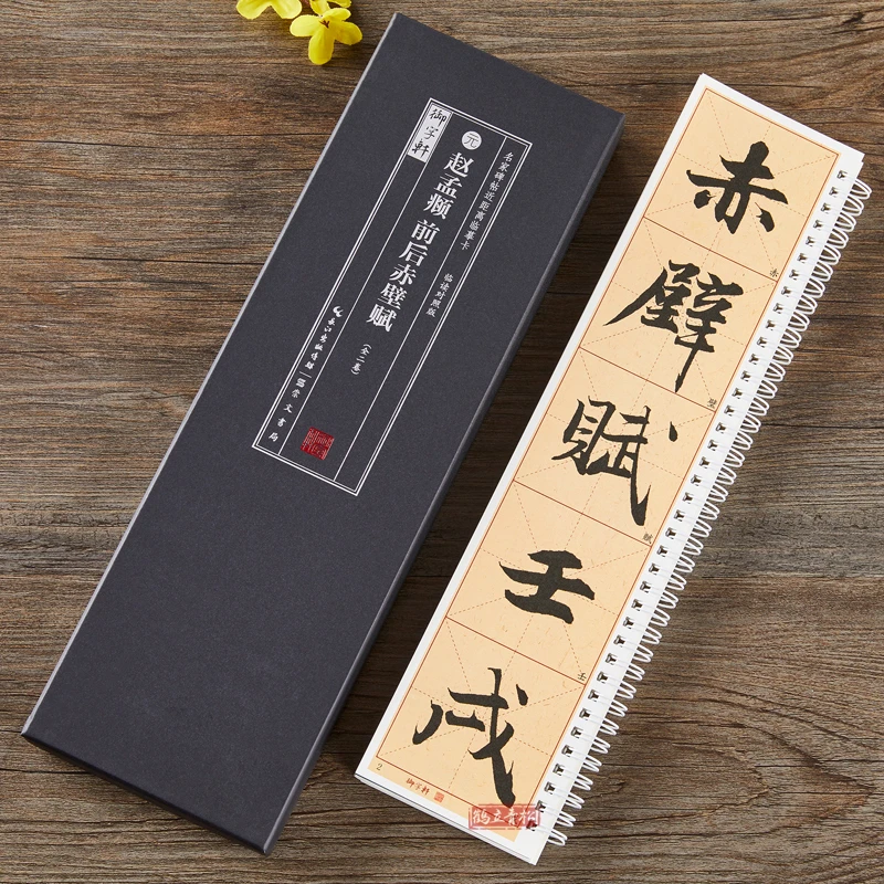【燕琳书法】赵孟頫前后赤壁赋近距离临摹卡米字格单字放大