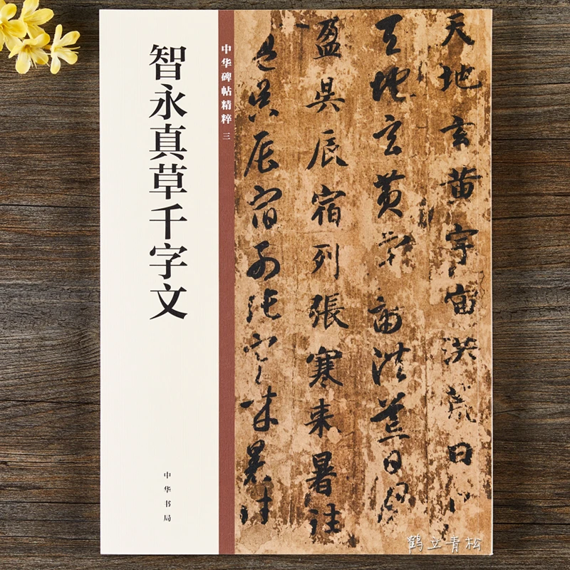 智永真草千字文16开草书楷书毛笔书法字帖 中华书局