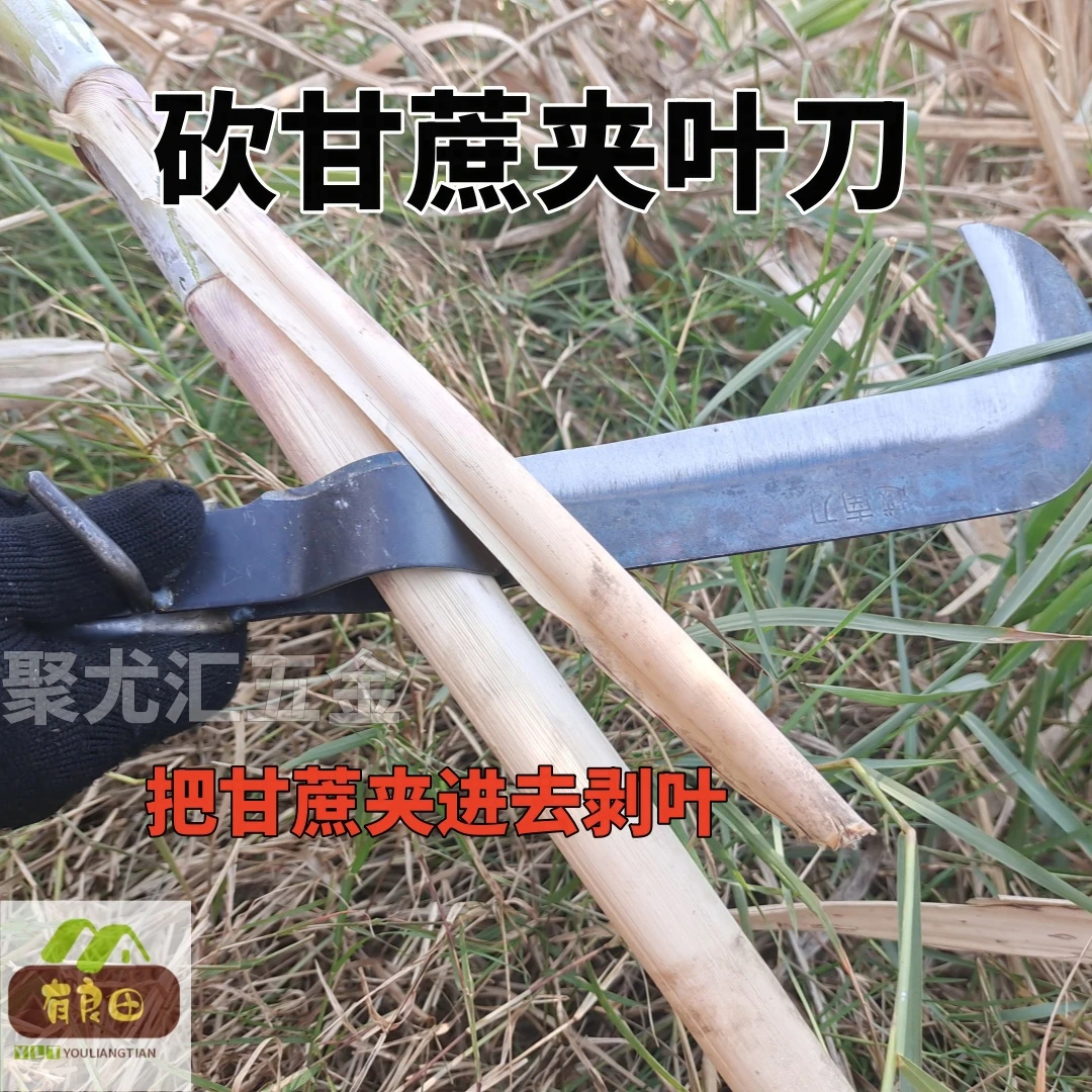 砍甘蔗越南刀快速高效夹叶剥修叶多用砍剥两用人工砍甘蔗专用农具