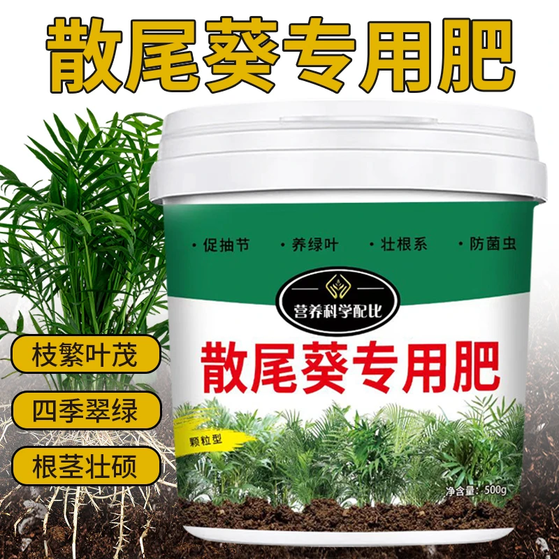 散尾葵四季绿旺防黄叶干尖瘦小枯叶半点根腐落叶营养颗粒缓释肥料