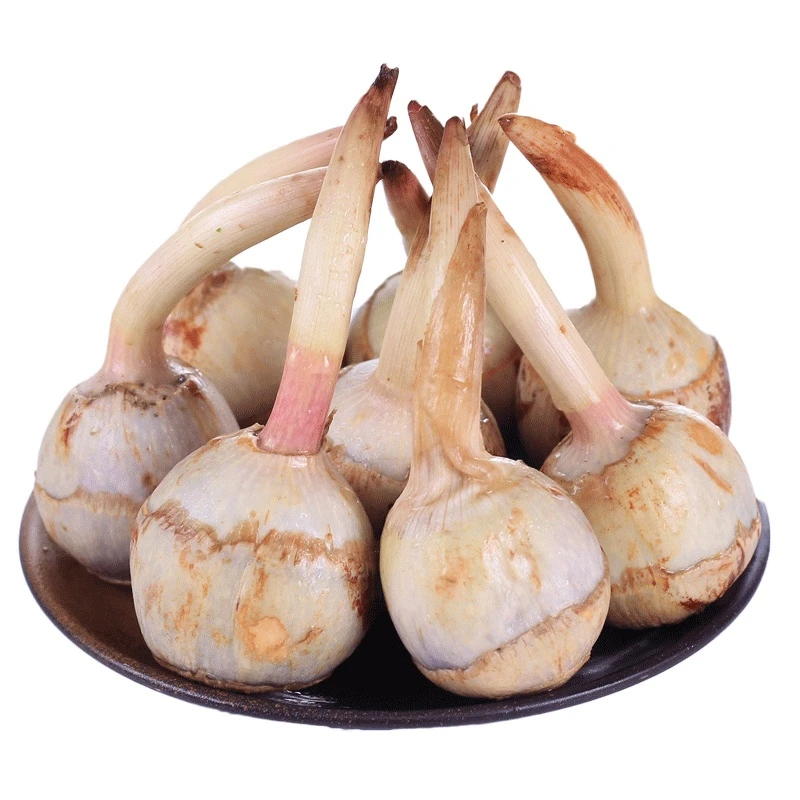 茨菇现挖400g/盒(任选3件包邮)