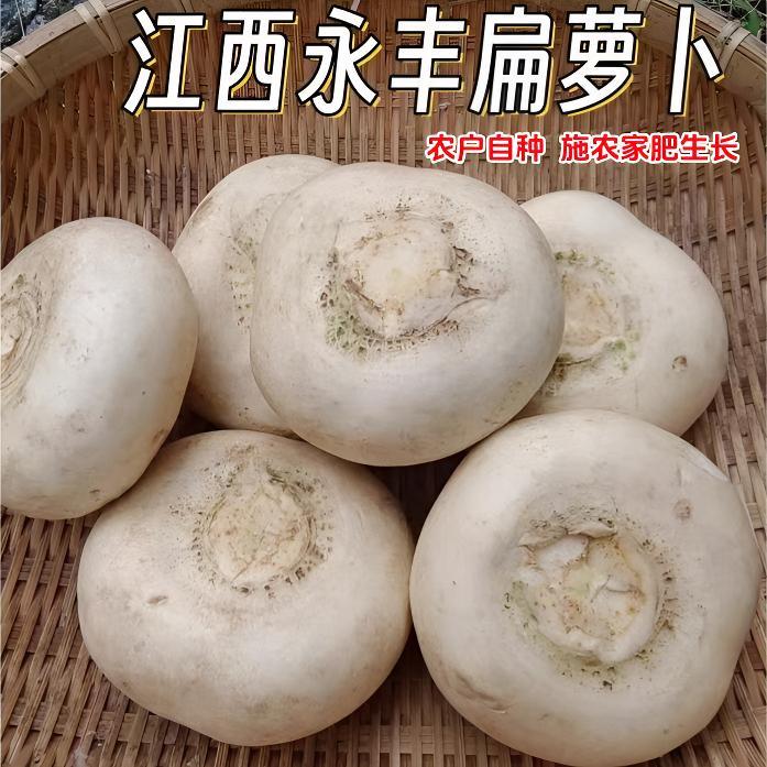 江西永丰扁萝卜农户自种农家肥生长味道纯正腌炒炖老家味道包邮