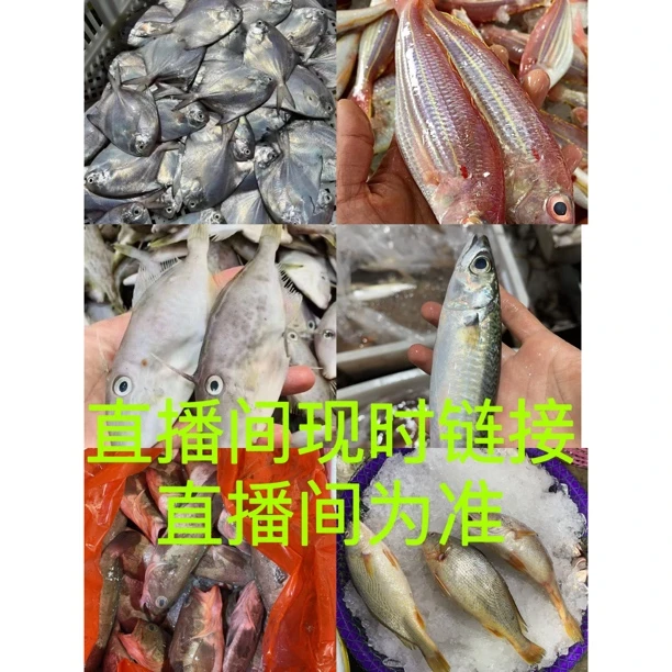 2号现时链接改价上车 海鱼货新鲜营养丰富