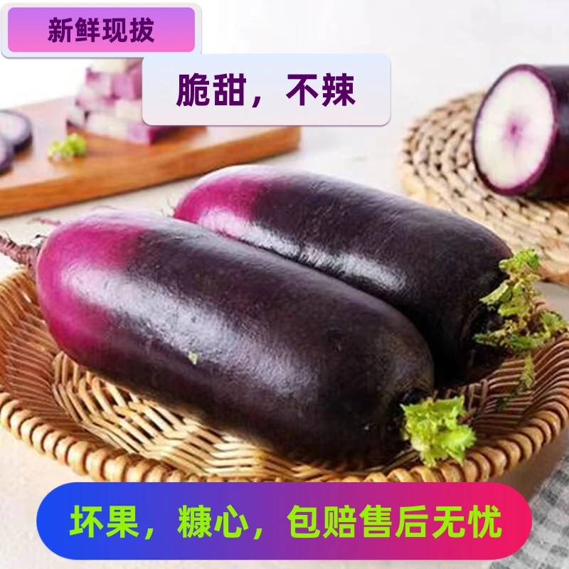 正宗冰激淋萝卜现拔新鲜脆甜多汁农家自种生吃水果萝卜冰糖心潍县