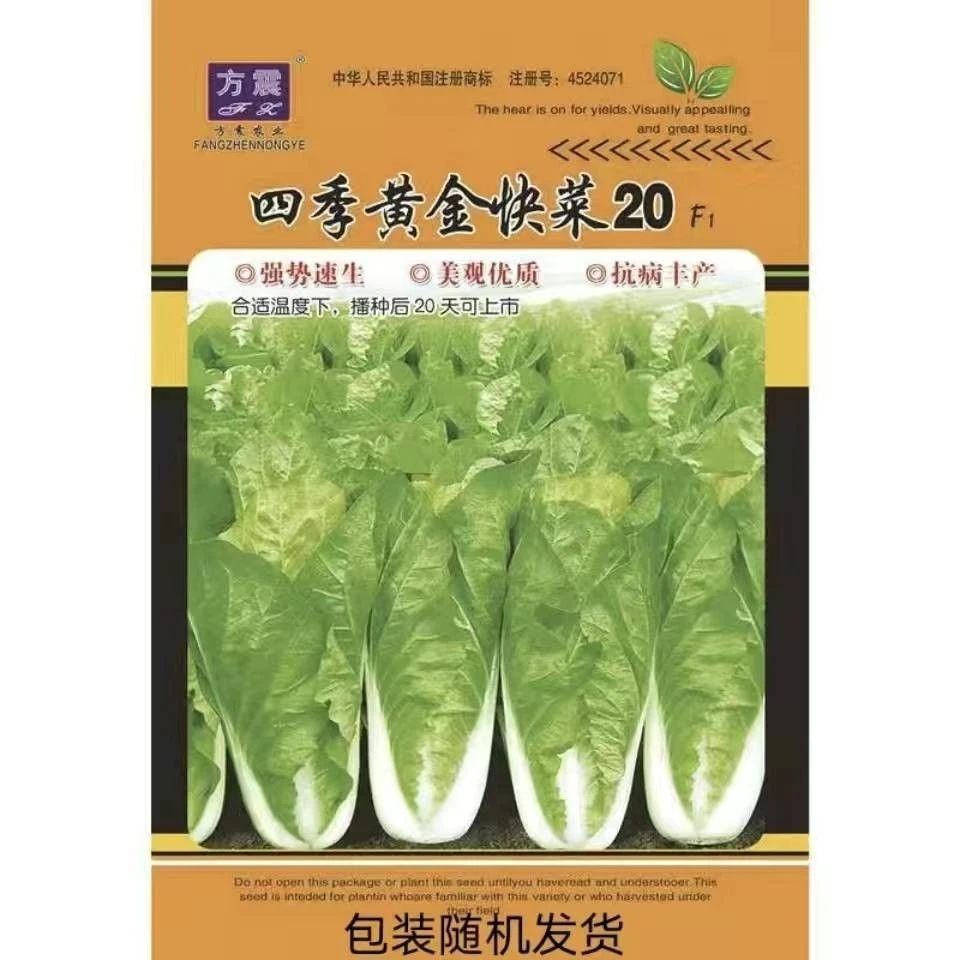 快菜小白菜种耐热耐湿早熟蔬菜种籽春夏秋四季播种新疆