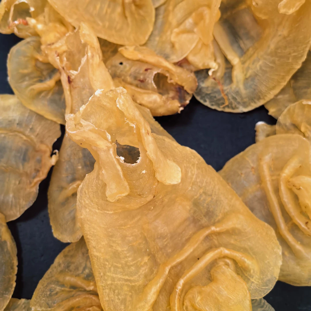 【阿华鱼胶滋补商行】金兰公/母 鱼胶 滋补品