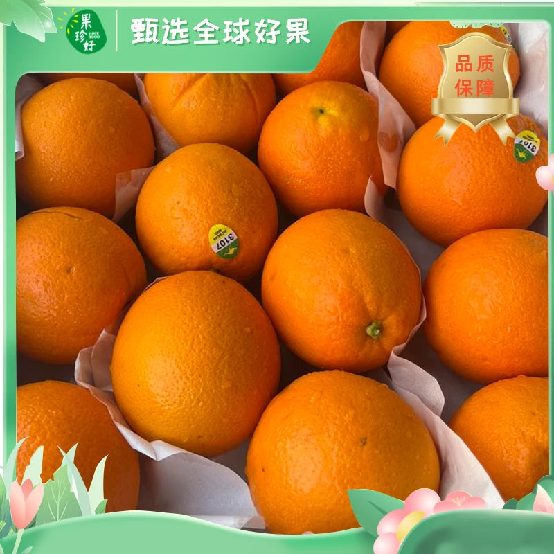 澳橙当季鲜果维C满满【约500克/份｜约8斤/箱】-福州小时达