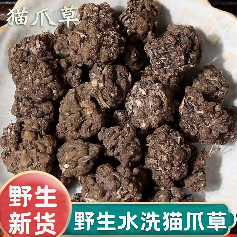 【猫爪草】精选正宗道地无硫水洗猫抓草搭配枸杞泡水泡茶喝滋补养生