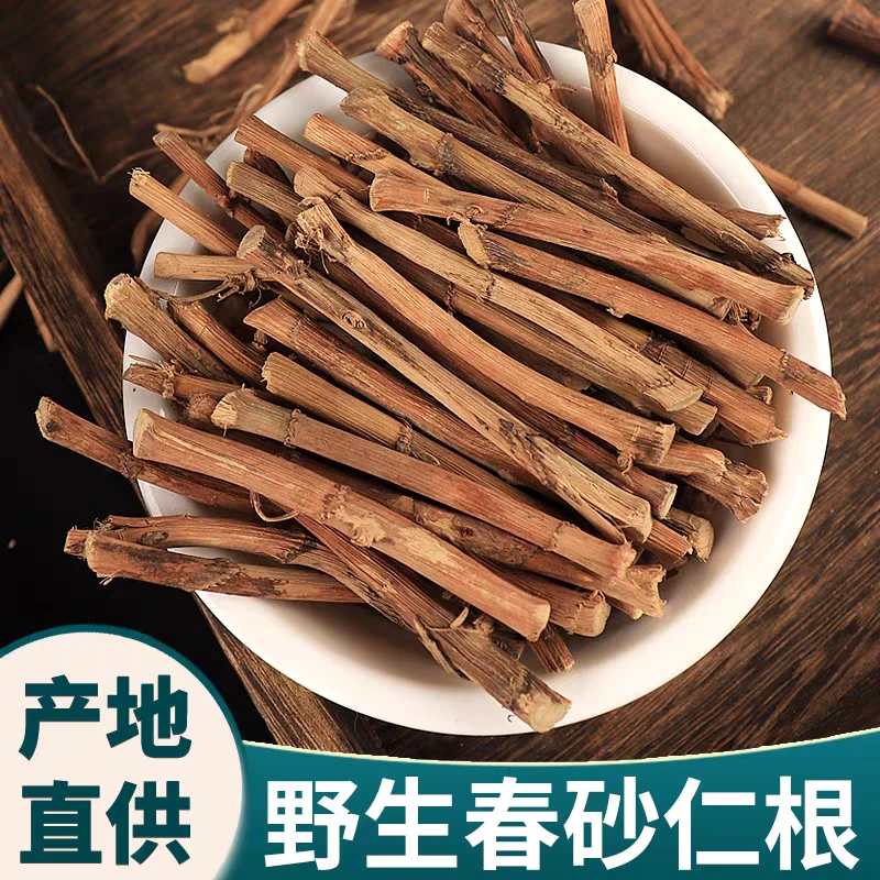 【春砂仁根】精选正宗道地阳春砂仁根搭配枸杞泡水泡茶喝滋补养生