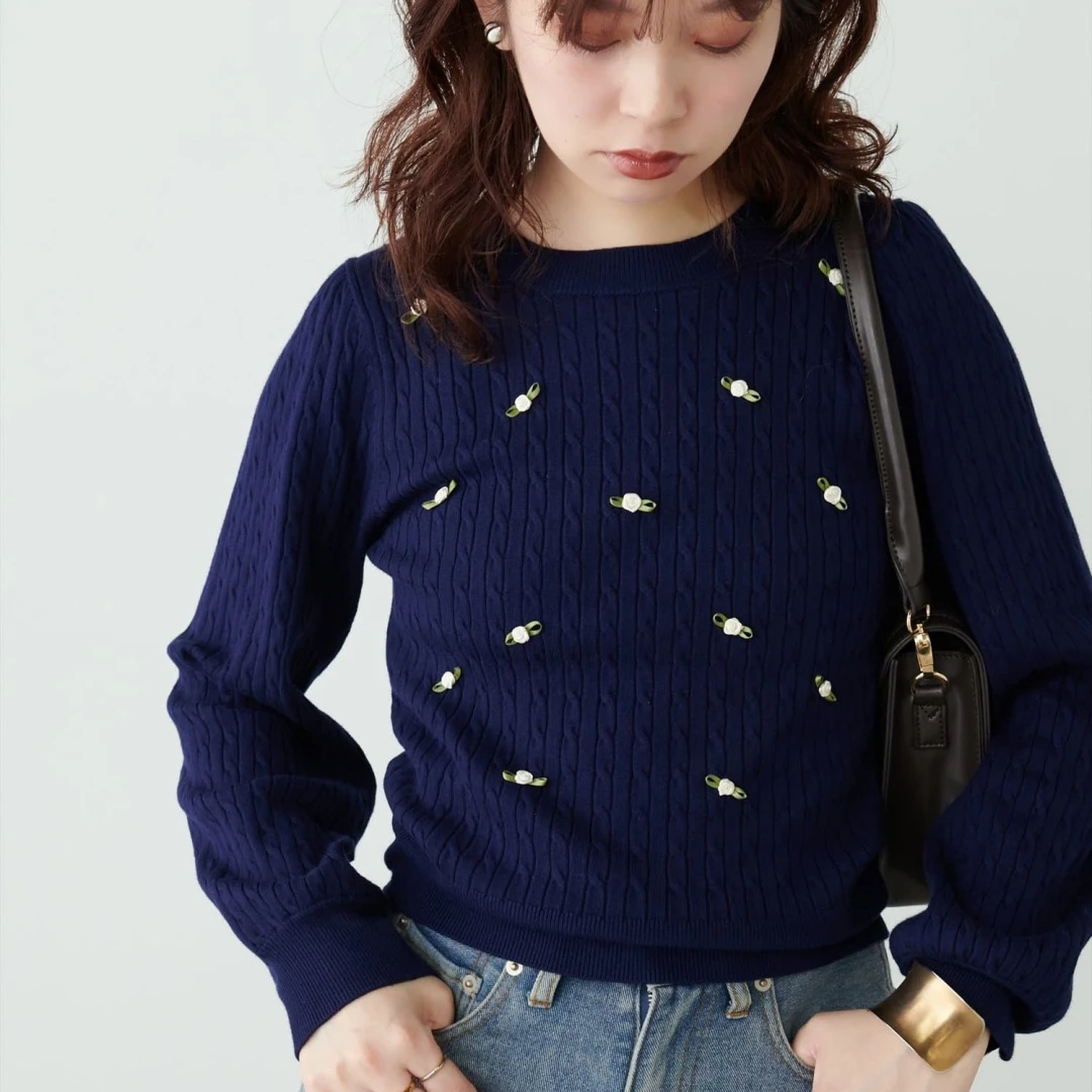 【DD外贸】 秋季新款 N 时尚休闲气质百搭绞花针织套头衫