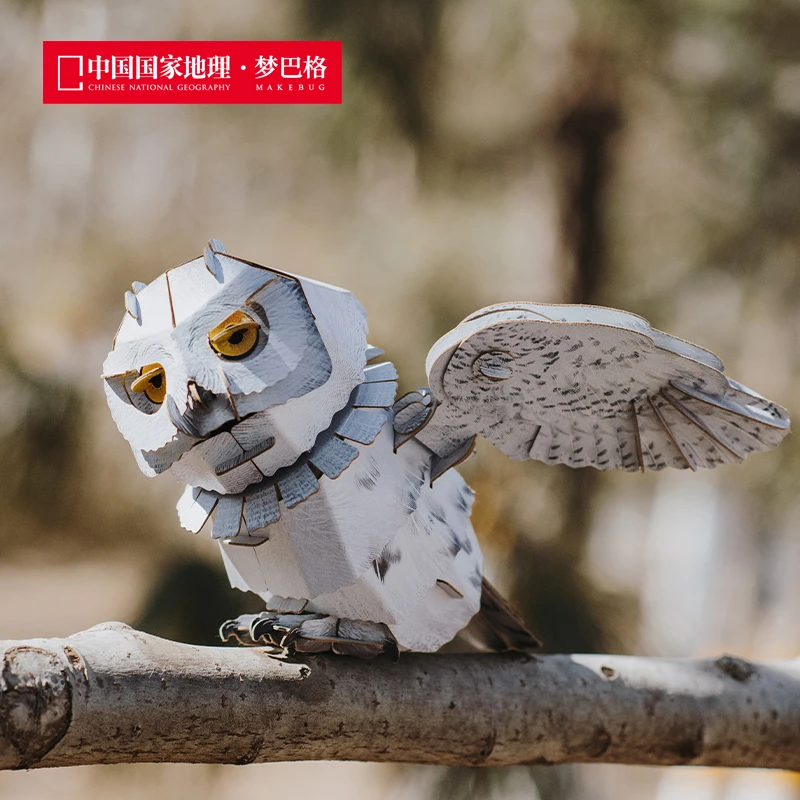 中国国家地理梦巴格 雪鸮猫头鹰动物立体纸模 圣诞礼物玩具手办