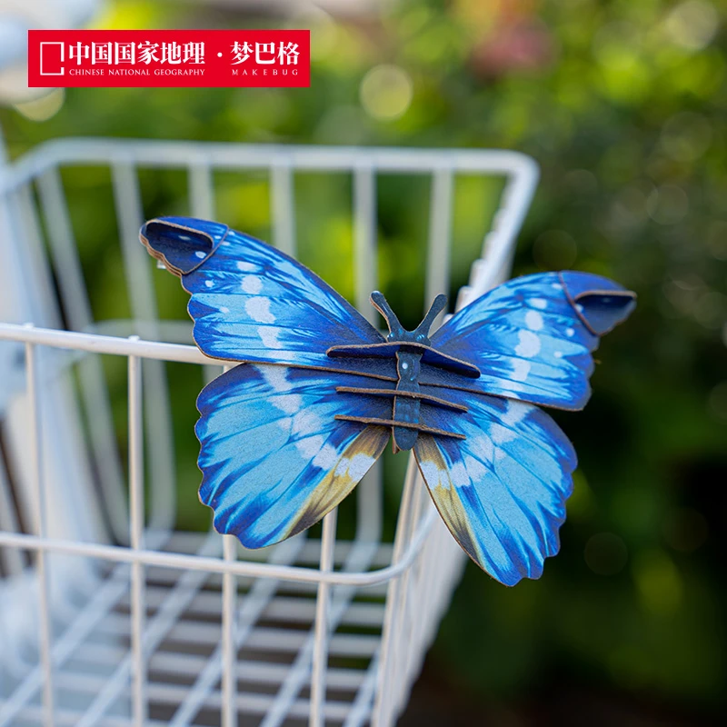 默认蝴蝶换颜色请备注