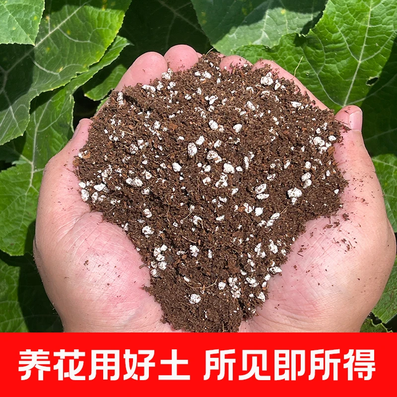 通用型泥炭蓝莓树苗花卉果蔬盆栽轻质养花营养土种菜专用