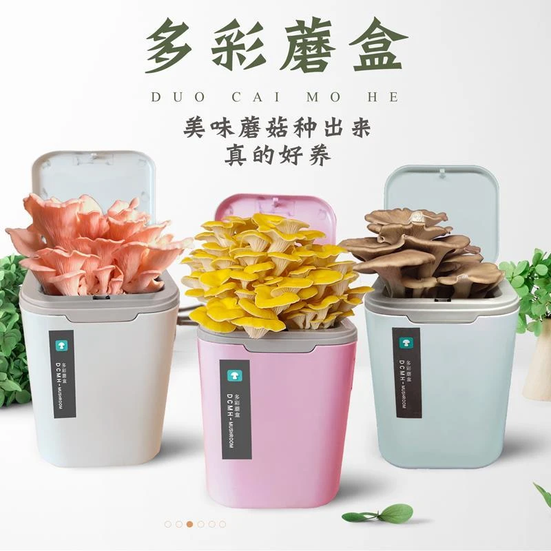 蘑菇种植桶装蘑菇菌棒家庭平菇种植可食用菌种菌包桶装蘑菇种植包