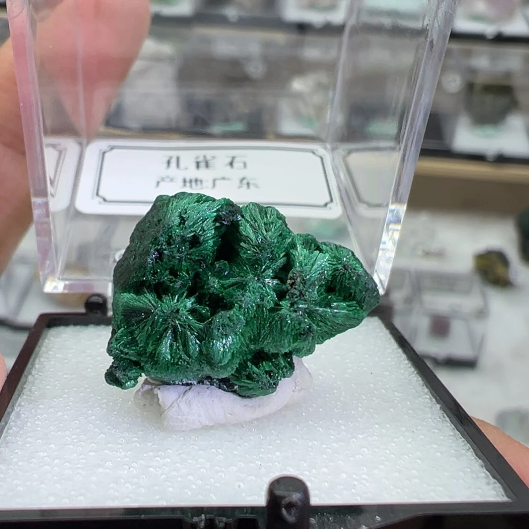 紫晶大型摆件（非配饰）银S925镶嵌