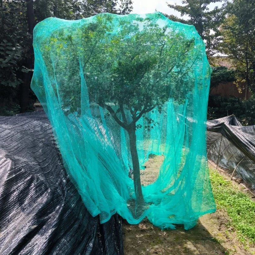 果树专用防鸟网罩樱桃枇杷葡萄嘉宝果蓝莓种植防鸟网果园防护网