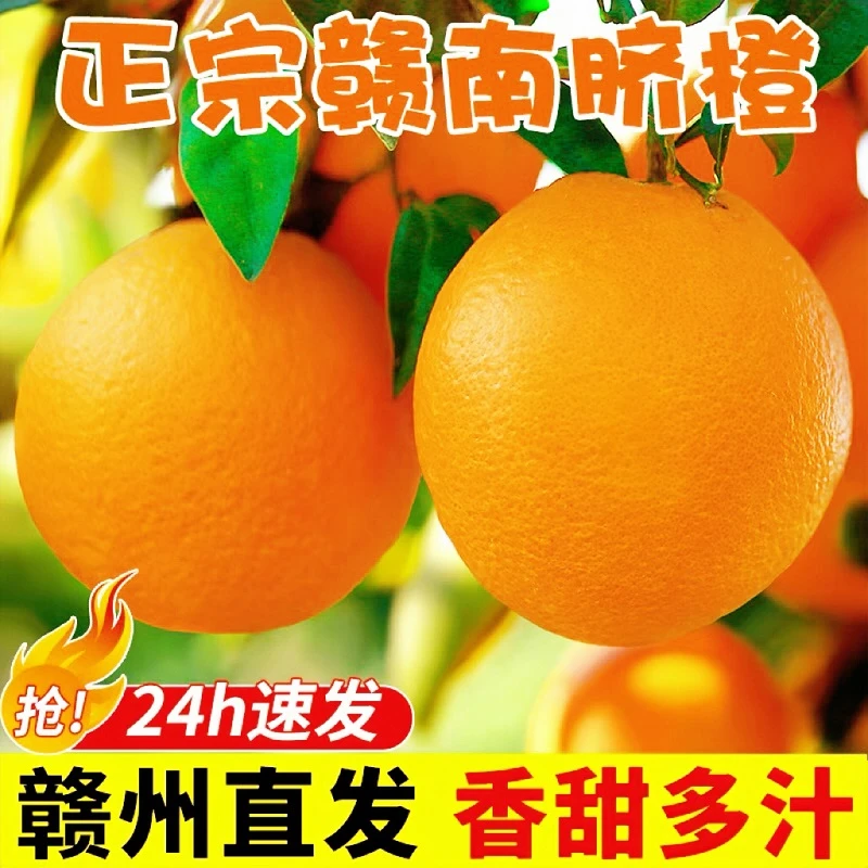 【赣南脐橙】江西正宗脐橙5斤10斤装新鲜采摘剥皮橙孕妇水果橙子