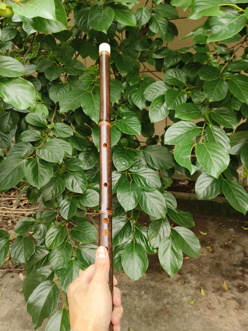 紫竹入门初学准专业E调竹笛