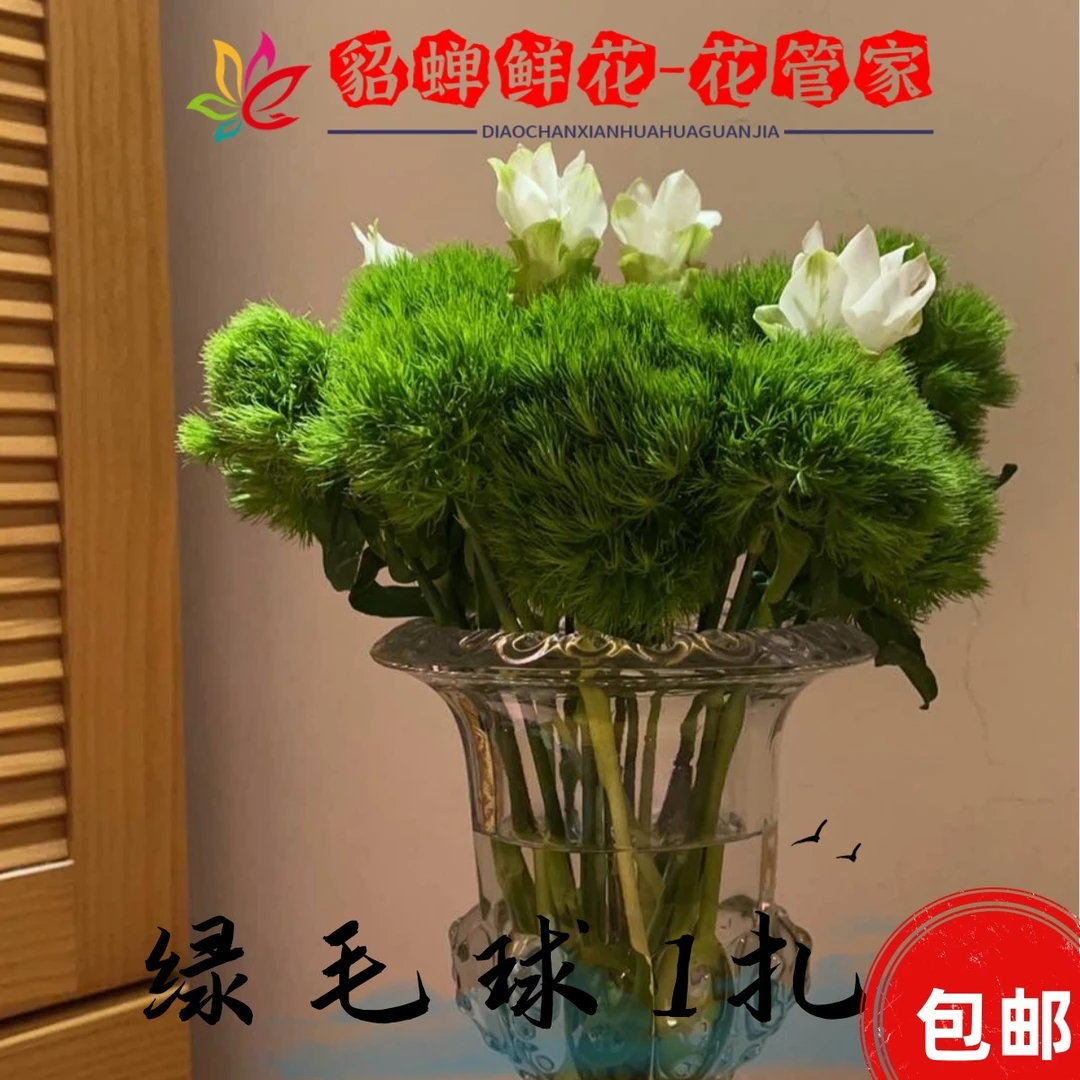鲜花   4把绿毛球