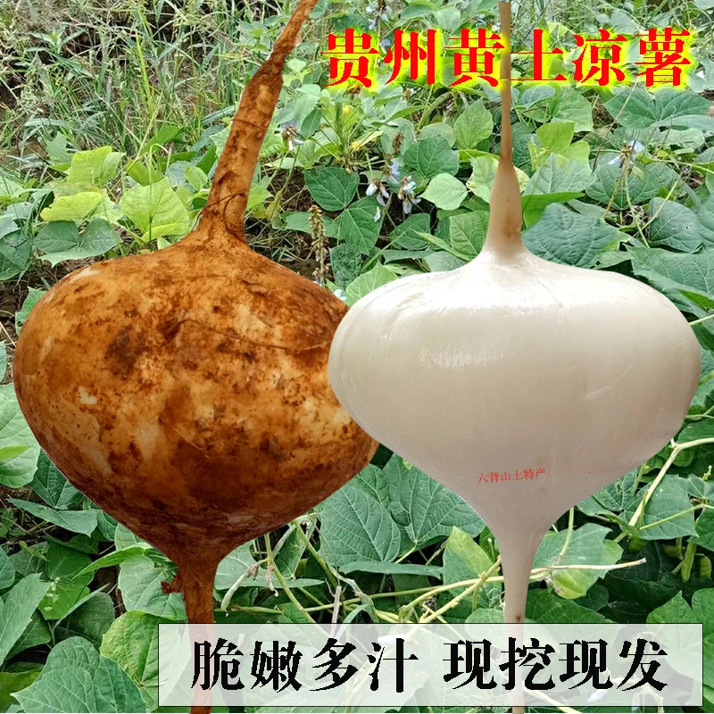 贵州地瓜新鲜现挖红心紫心薯水果蔬菜农家国薯即食蒸煮脆家乡特产