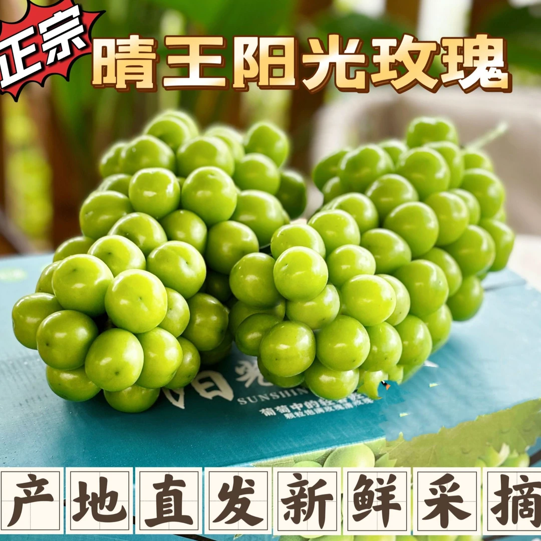 【京东/顺丰包邮】西昌正宗晴王阳光玫瑰纯甜无籽彩箱包装当天采摘