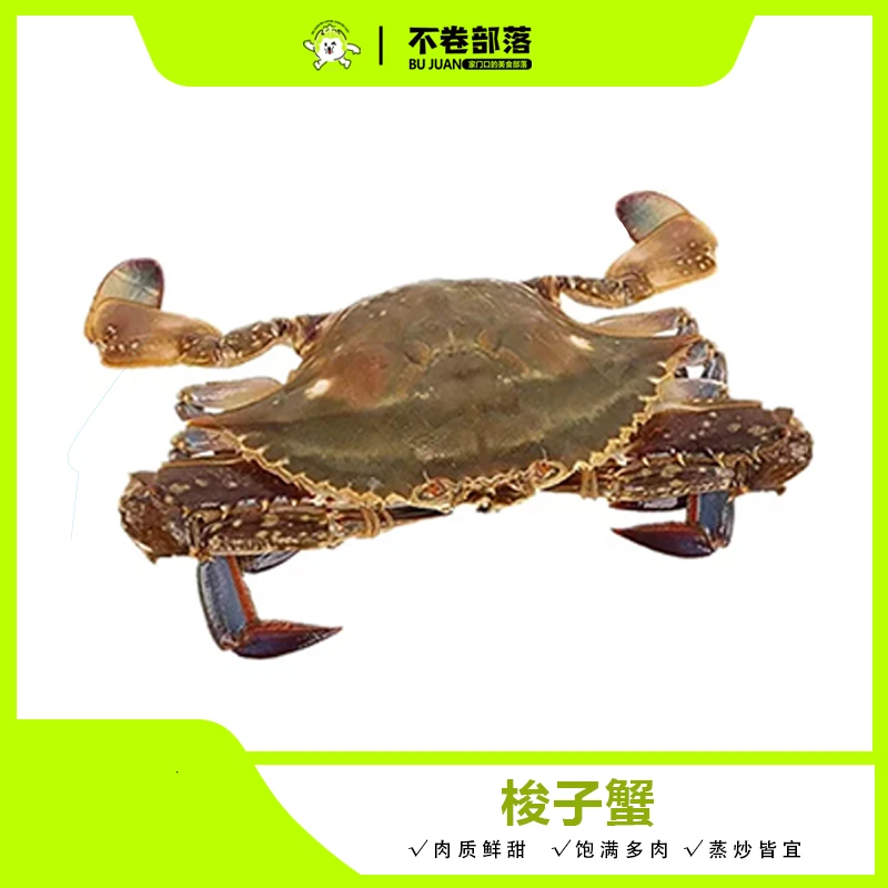 【鲜活】梭子蟹   约500g±20   (鲜活现捞，有氧配送、出水易死，介意勿拍)