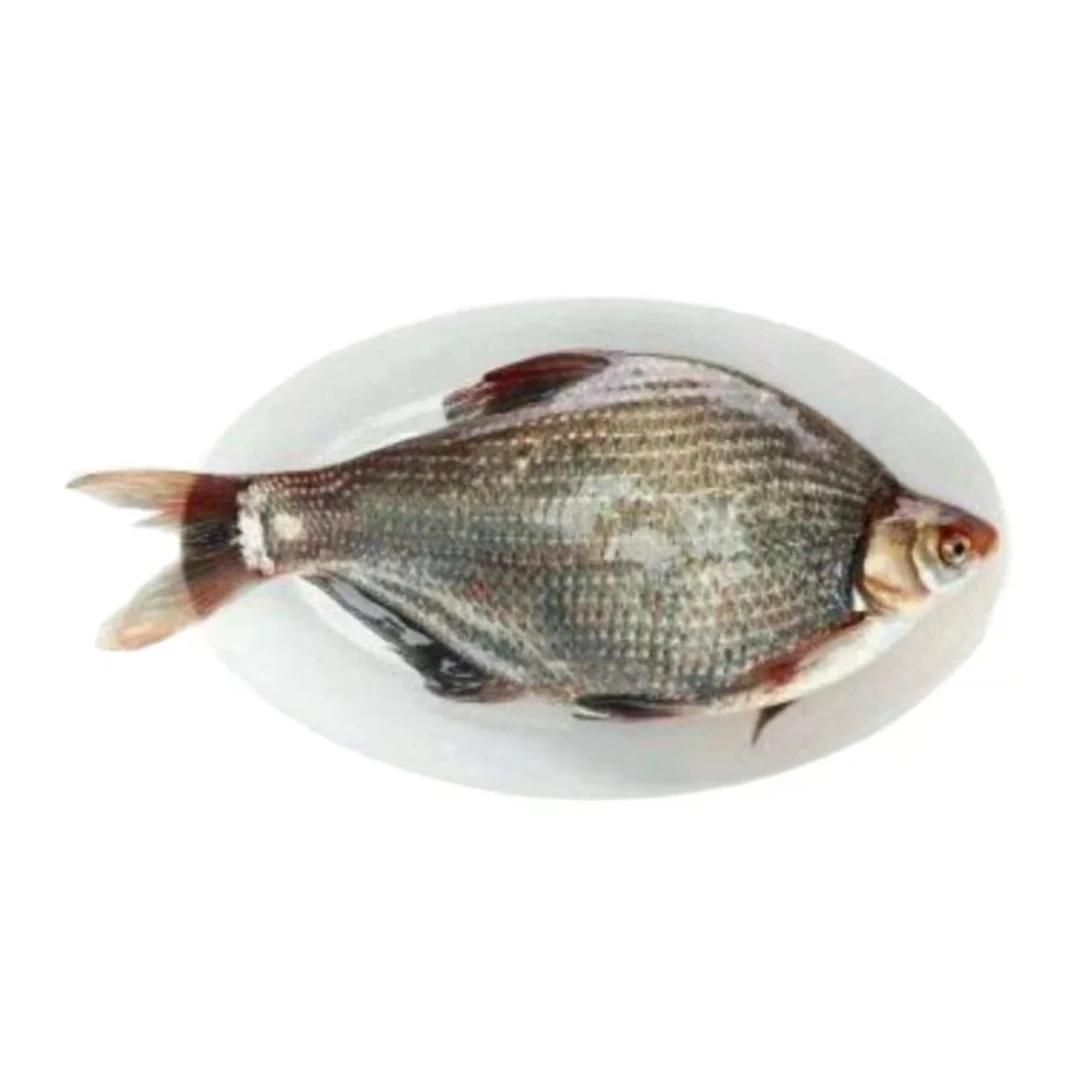 鳊鱼江水鳊鱼 一条   约750g±30