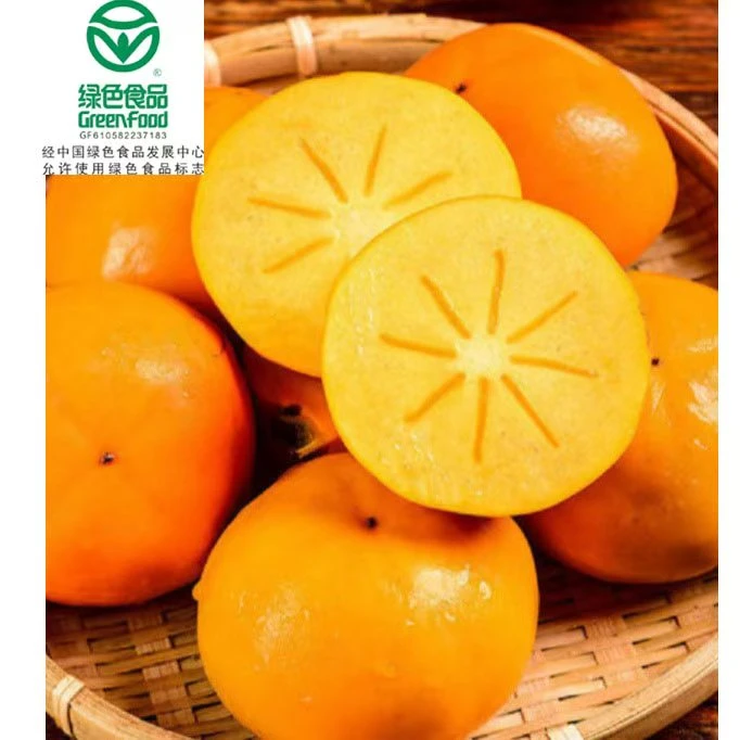 【现摘现发6】陕西华山巧克力脆甜柿现摘现发应季绿色基地整箱包邮